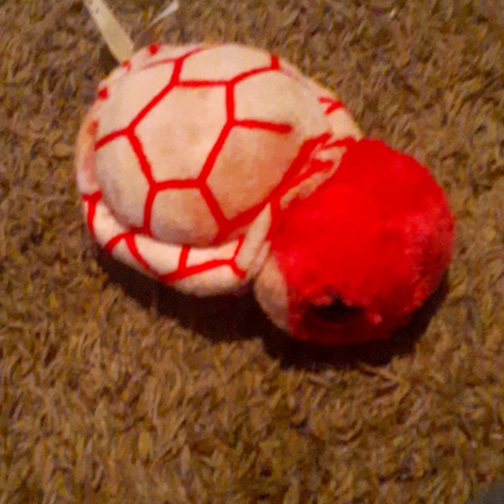 Turtle